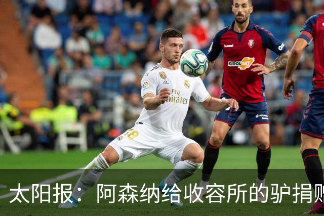 太阳报：阿森纳给收容所的驴捐赠40双球袜，保护它们腿部免受感染